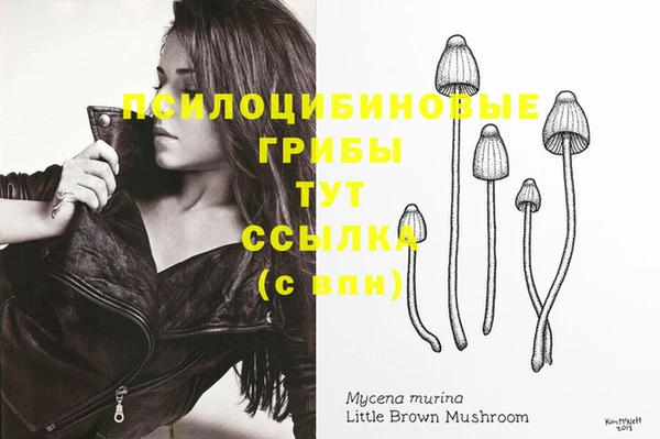 крисы Нефтекумск