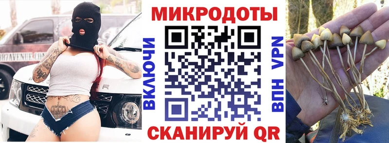 MEGA   Надым  Галлюциногенные грибы Cubensis 